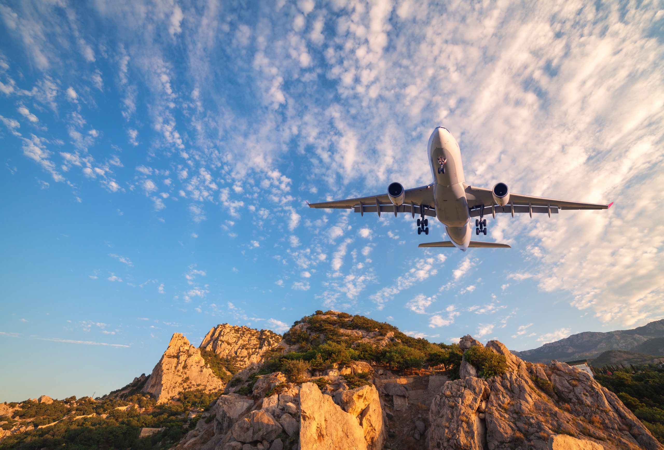 Flight Services
